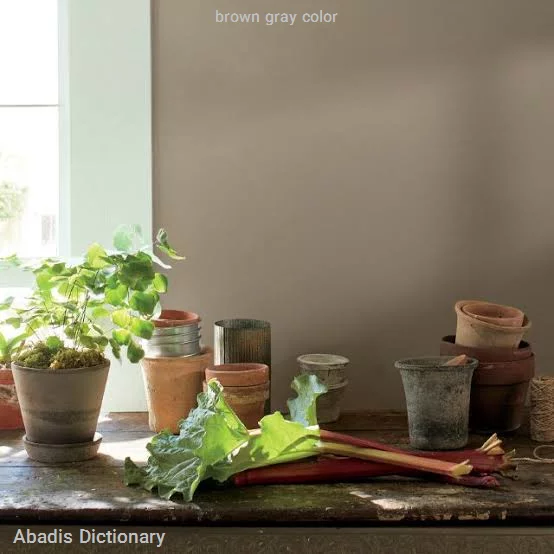 brown gray color